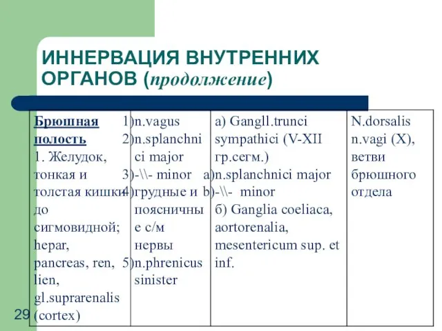 ИННЕРВАЦИЯ ВНУТРЕННИХ ОРГАНОВ (продолжение)