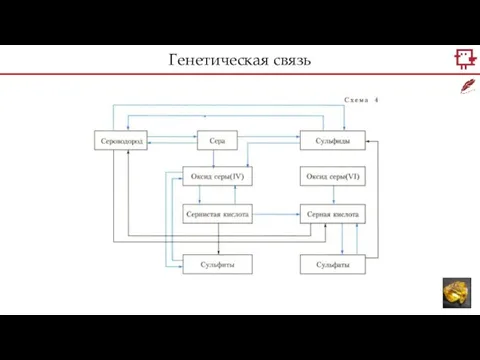 Генетическая связь