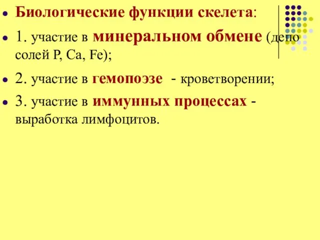 Биологические функции скелета: 1. участие в минеральном обмене (депо солей P,