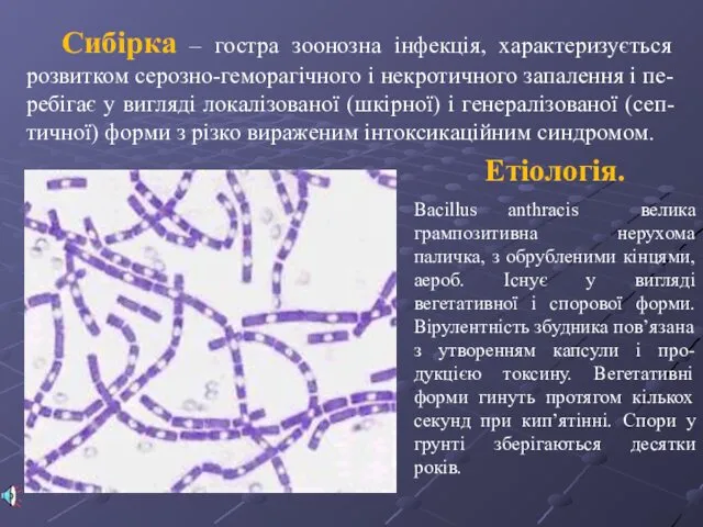 Сибірка – гостра зоонозна інфекція, характеризується розвитком серозно-геморагічного і некротичного запалення