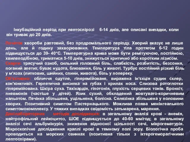 Клініка Інкубаційний період при лептоспірозі 6-14 днів, але описані випадки, коли