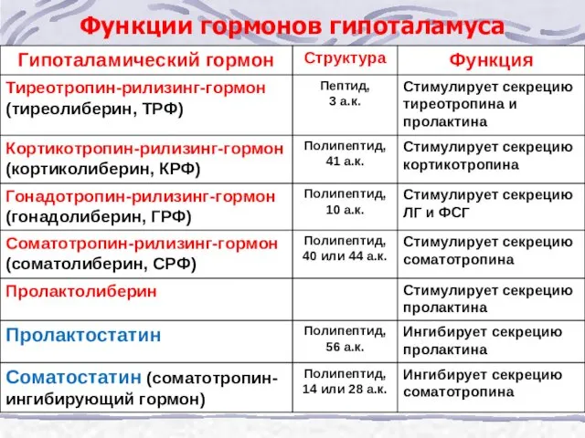 Функции гормонов гипоталамуса