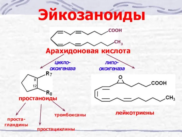 Эйкозаноиды Арахидоновая кислота цикло-оксигеназа липо-оксигеназа простаноиды простациклины тромбоксаны проста-гландины лейкотриены СН3 СООН