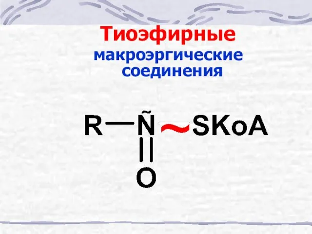 Тиоэфирные макроэргические соединения