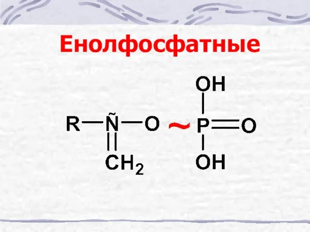 Енолфосфатные