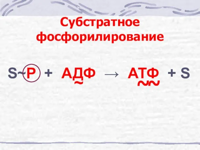 Субстратное фосфорилирование S~P + АДФ → АТФ + S ~ ~ ~