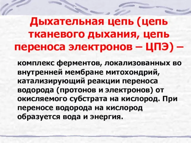 Дыхательная цепь (цепь тканевого дыхания, цепь переноса электронов – ЦПЭ) –