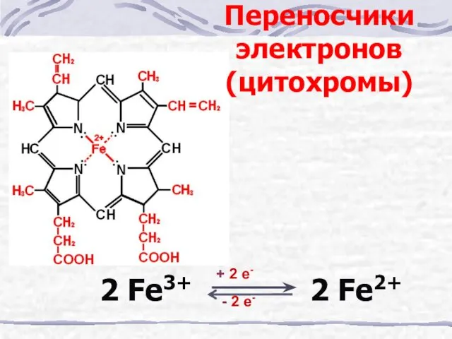 2 Fe3+ 2 Fe2+ + 2 e- - 2 e- Переносчики электронов (цитохромы)