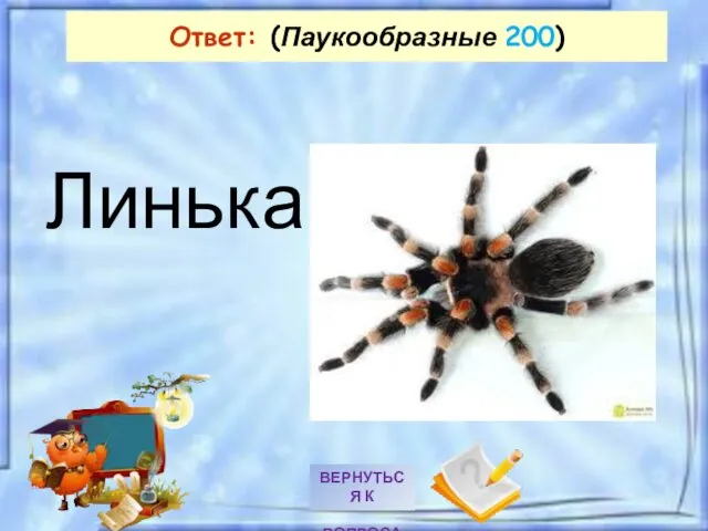 Линька Ответ: (Паукообразные 200)