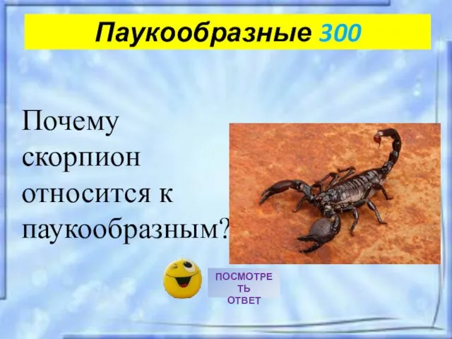 Почему скорпион относится к паукообразным? Паукообразные 300