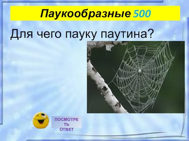 Паукообразные 500 Для чего пауку паутина?