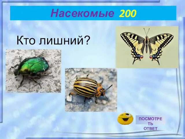 Насекомые 200 Кто лишний?