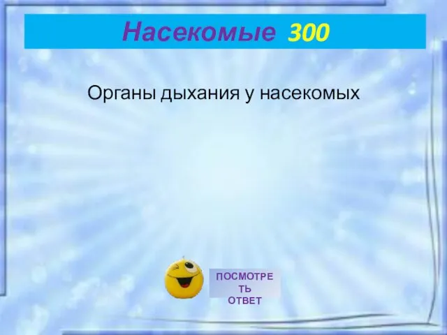 Органы дыхания у насекомых Насекомые 300