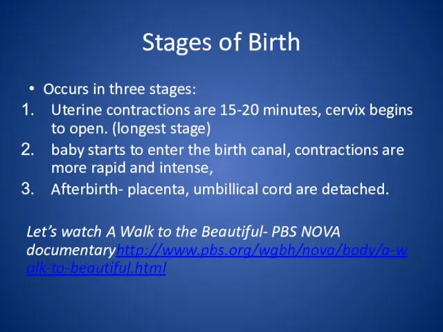 Stages of Birth Occurs in three stages: Uterine contractions are 15-20