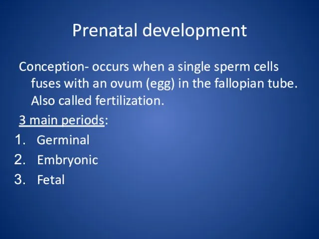 Prenatal development Conception- occurs when a single sperm cells fuses with