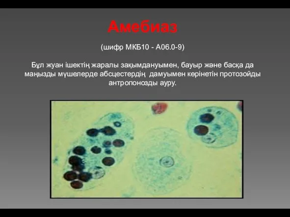 Амебиаз (шифр МКБ10 - A06.0-9) Бұл жуан ішектің жаралы зақымдануымен, бауыр