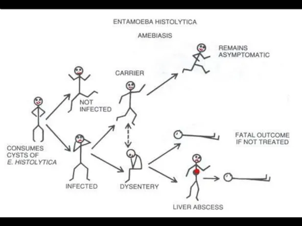 Clinical Spectrum of Amoebiasis