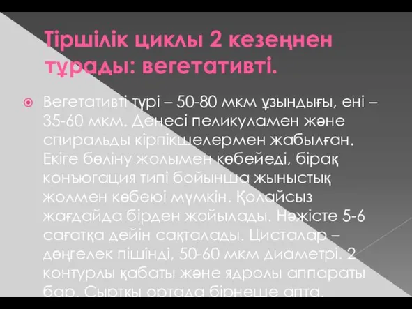 Тіршілік циклы 2 кезеңнен тұрады: вегетативті. Вегетативті түрі – 50-80 мкм