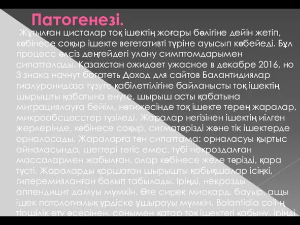 Патогенезі. Жұтылған цисталар тоқ ішектің жоғары бөлігіне дейін жетіп, көбінесе соқыр