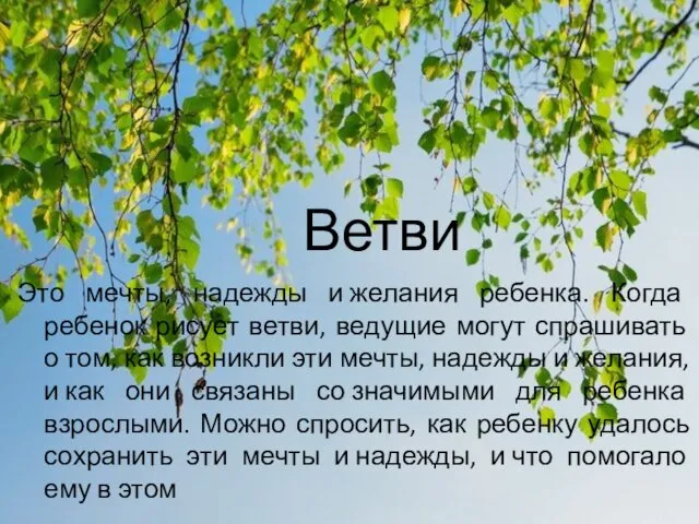 Ветви Это мечты, надежды и желания ребенка. Когда ребенок рисует ветви,