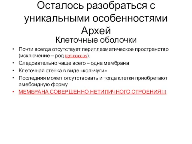 Осталось разобраться с уникальными особенностями Архей Клеточные оболочки Почти всегда отсутствует