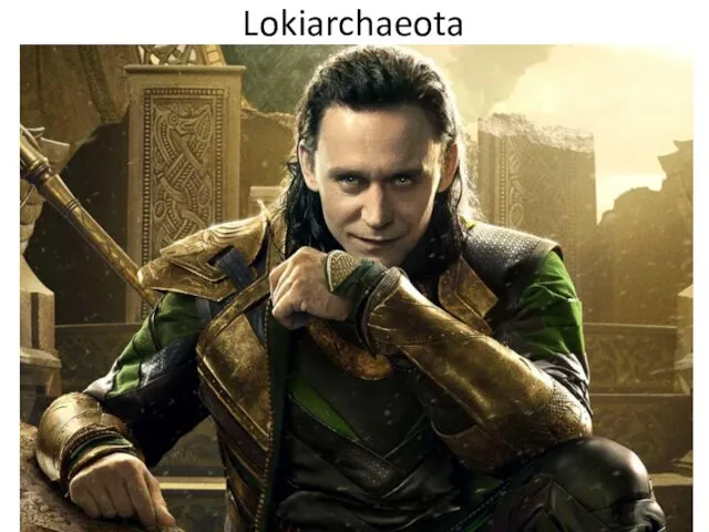 Lokiarchaeota
