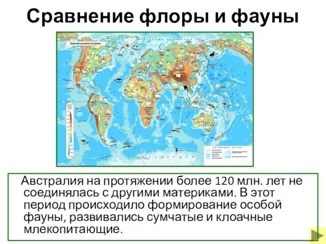 Сравнение флоры и фауны Австралия на протяжении более 120 млн. лет