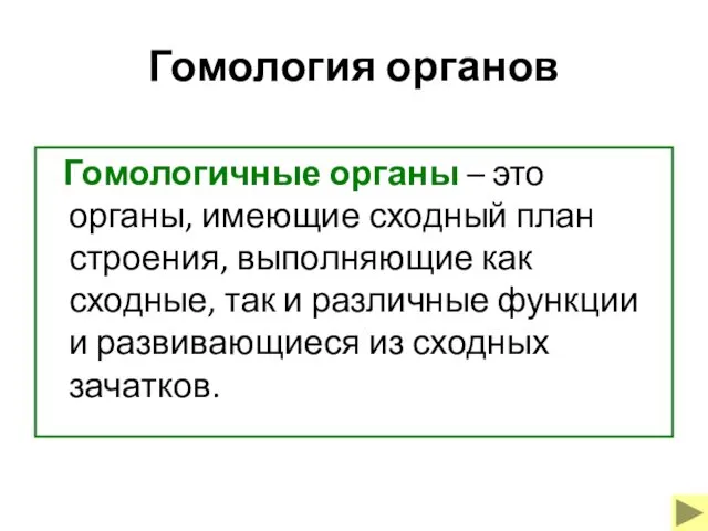 Гомология органов Гомологичные органы – это органы, имеющие сходный план строения,