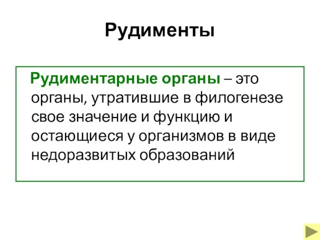 Рудименты Рудиментарные органы – это органы, утратившие в филогенезе свое значение