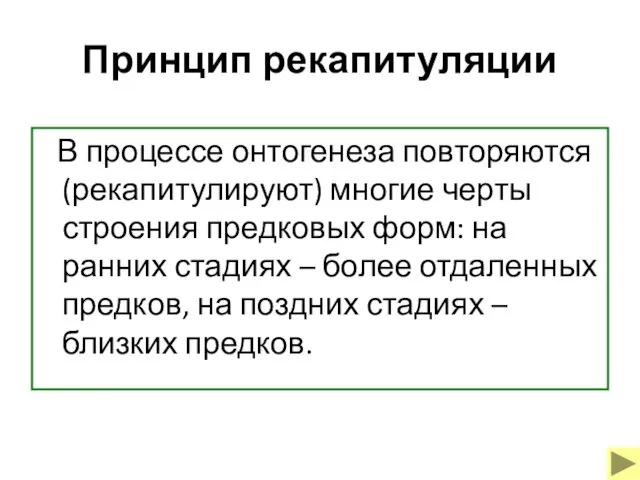 Принцип рекапитуляции В процессе онтогенеза повторяются (рекапитулируют) многие черты строения предковых