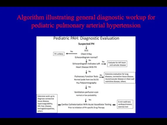 Algorithm illustrating general diagnostic workup for pediatric pulmonary arterial hypertension