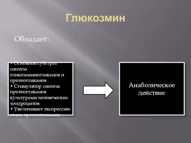 Глюкозмин Обладает: • Основной субстрат синтеза гликозаминогликанов и протеогликанов • Стимулятор