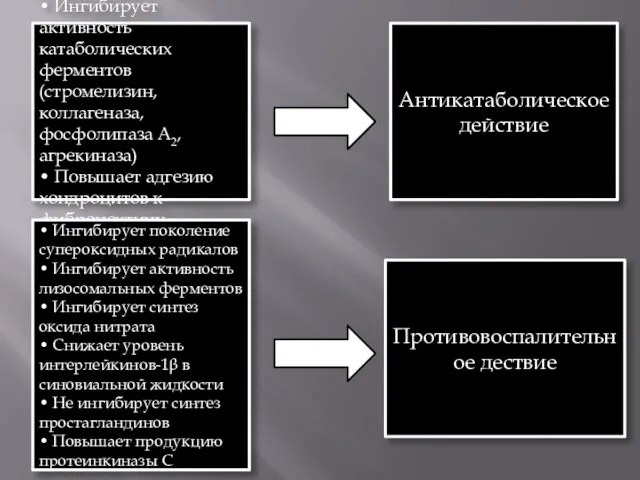 • Ингибирует активность катаболических ферментов (стромелизин, коллагеназа, фосфолипаза А2, агрекиназа) •