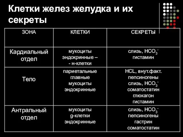 Клетки желез желудка и их секреты