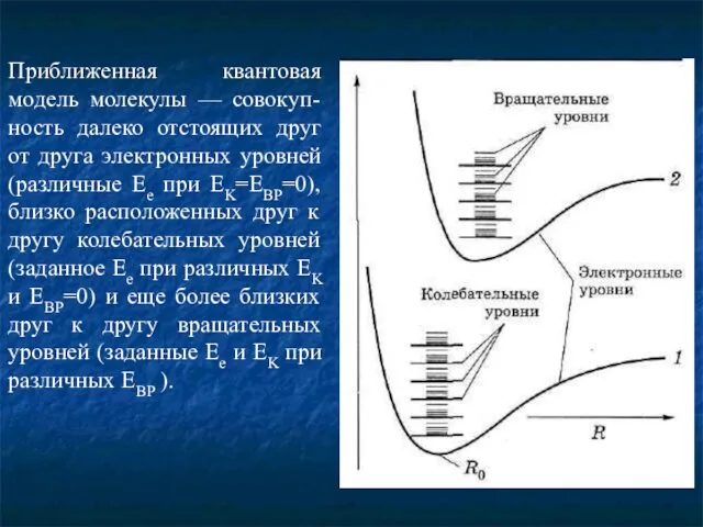 Приближенная квантовая модель молекулы — совокуп-ность далеко отстоящих друг от друга