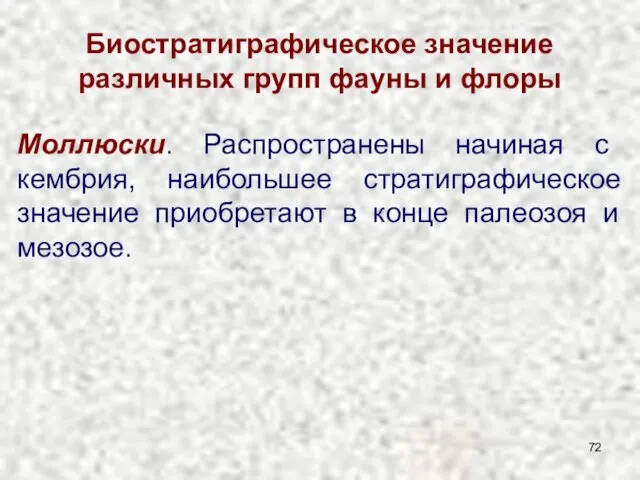 Биостратиграфическое значение различных групп фауны и флоры Моллюски. Распространены начиная с