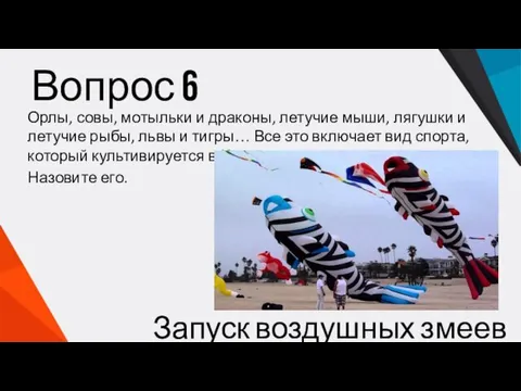 Вопрос 6 Орлы, совы, мотыльки и драконы, летучие мыши, лягушки и