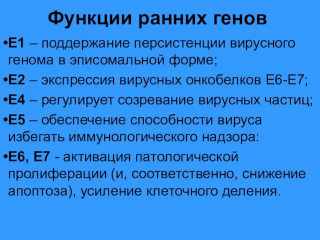 Функции ранних генов Е1 – поддержание персистенции вирусного генома в эписомальной