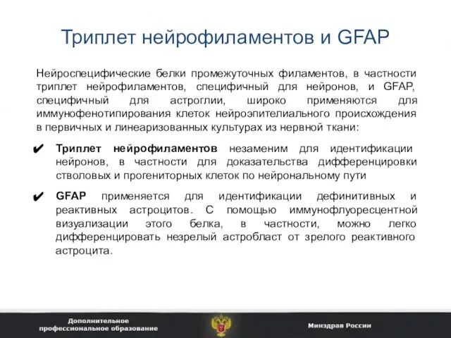 Триплет нейрофиламентов и GFAP Нейроспецифические белки промежуточных филаментов, в частности триплет