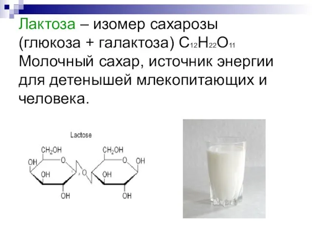 Лактоза – изомер сахарозы (глюкоза + галактоза) С12Н22О11 Молочный сахар, источник