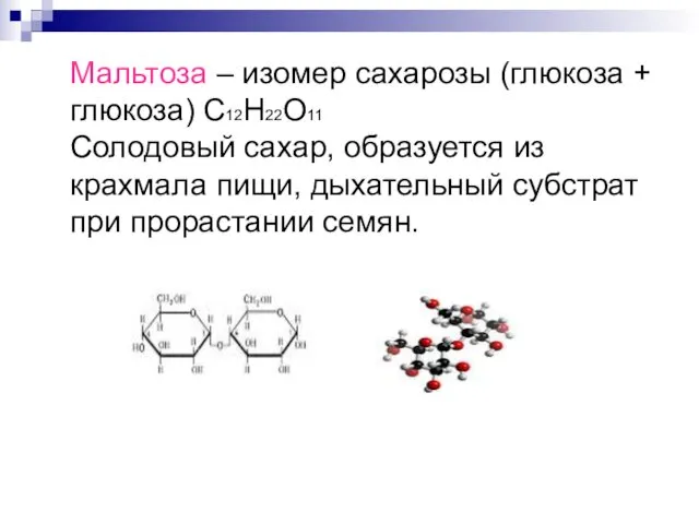 Мальтоза – изомер сахарозы (глюкоза + глюкоза) С12Н22О11 Солодовый сахар, образуется