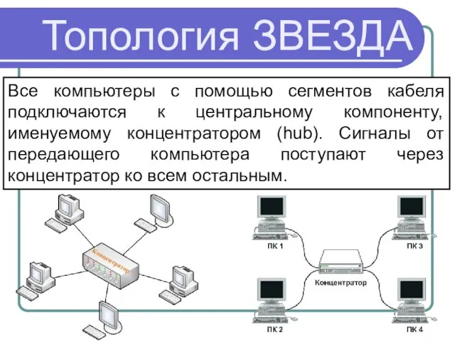 Топология ЗВЕЗДА Все компьютеры с помощью сегментов кабеля подключаются к центральному