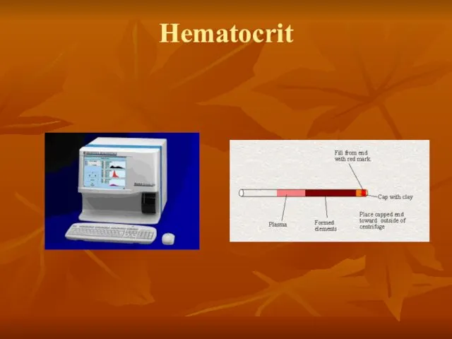 Hematocrit