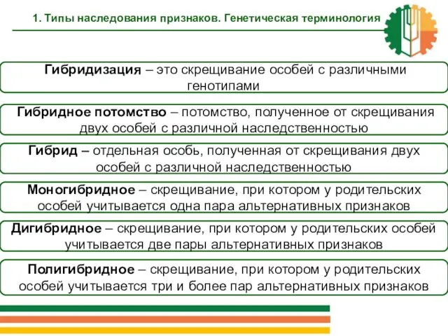 Гибридизация – это скрещивание особей с различными генотипами Гибридное потомство –