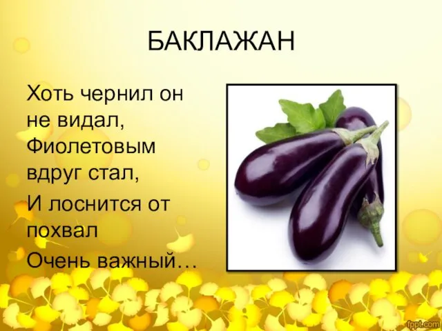 БАКЛАЖАН Хоть чернил он не видал, Фиолетовым вдруг стал, И лоснится от похвал Очень важный…