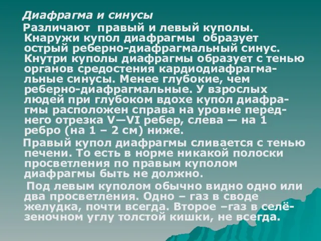 Диафрагма и синусы Различают правый и левый куполы. Кнаружи купол диафрагмы