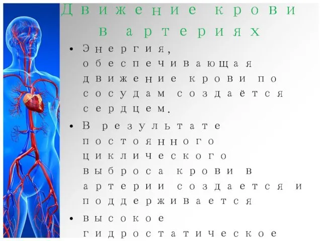 Движение крови в артериях Энергия, обеспечивающая движение крови по сосудам создаётся