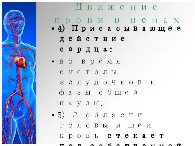 Движение крови в венах 4) Присасывающее действие сердца: во время систолы