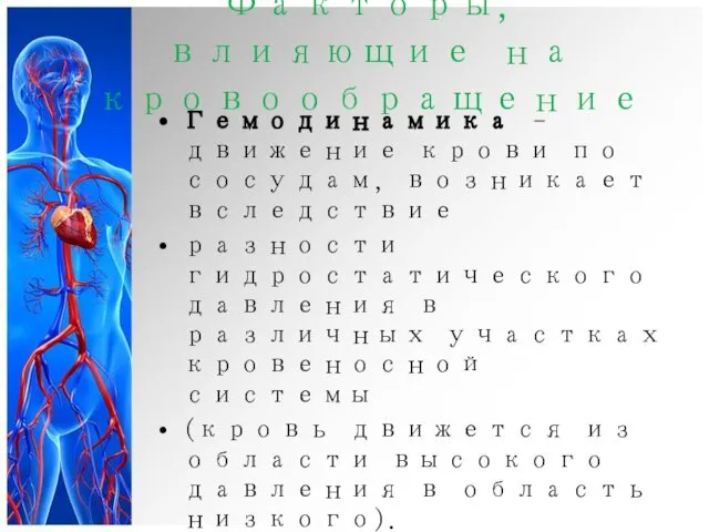 Факторы, влияющие на кровообращение Гемодинамика – движение крови по сосудам, возникает