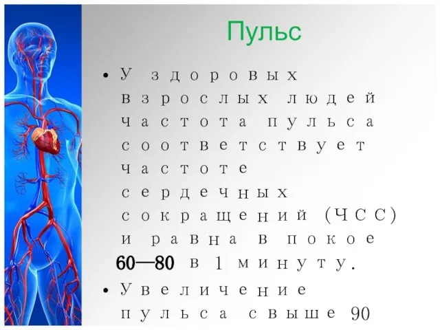 Пульс У здоровых взрослых людей частота пульса соответствует частоте сердечных сокращений